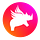 Collaboration with Rhino