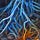 Rhizome