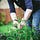 Gardening For Goodness