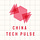 China Tech Pulse