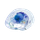 AI Policy Perspectives 