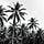 Republic of Palm Island