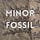 Minor Fossil