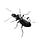 Inkbeetle: writing & the weird