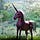Ecommerce & Unicorns
