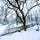Ground Cold