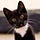 Suse’s Substack