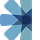 In Full Blume