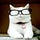 Catturd’s Substack