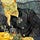 MFN’s Substack