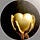 Medicine of the Heart