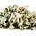 CashStacker.com