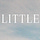 The Little Things Life