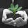 Nurture the Seed 