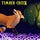Fox at Timber Creek