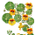 Nasturtium
