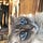 RealTyroneJethro’s Newsletter