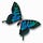 Reflections from Transformative Spirit