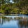 Midwest Conservation by Beckie Gaskill