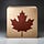The Maple Leaf Brief 🍁