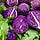 3 Red Cabbage Heads - poetry, knitting, and essays of life