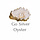 Go Silver Oyster