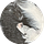 The Gray Horse Diaries