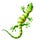 Gecko1