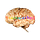 Brainwashed