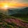 A New Dawn, a Deeper Understanding.