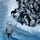 Flightless Bird Report