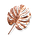 Catalectic