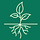 Rootsie