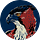 Hawk Radius