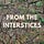 FROM THE INTERSTICES