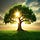Probability Tree's Substack