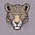 The Leopard