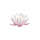 lotus knowledge.