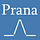 The Conscious Prana 