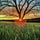 KnowThyStory