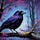 Umbra Raven