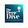 The Deep Dive Newsletter