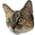 Glitch Cat