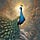 The Nature-Nurture-Nietzsche Newsletter
