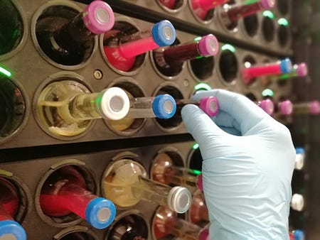 Blood Culture Bottles in an Incubator