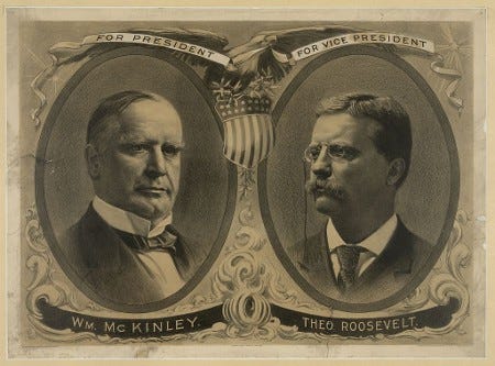 The McKinley Assassination - Shapell