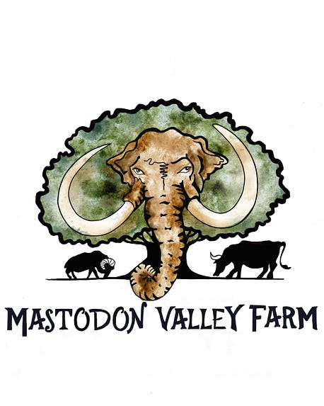 Extra Large Share — Mastodon Valley Farm