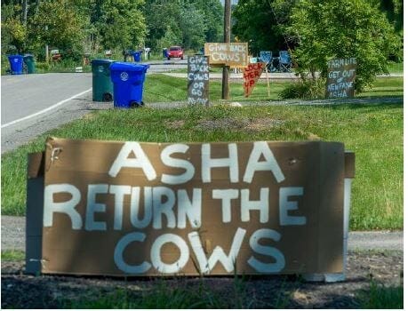 Gag order in Niagara County cow controversy remains in place