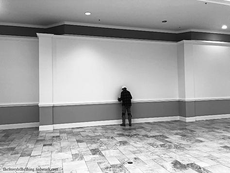 Photographs of the emptiness that now holds sway at Town Center Mall in Charleston West Virginia.