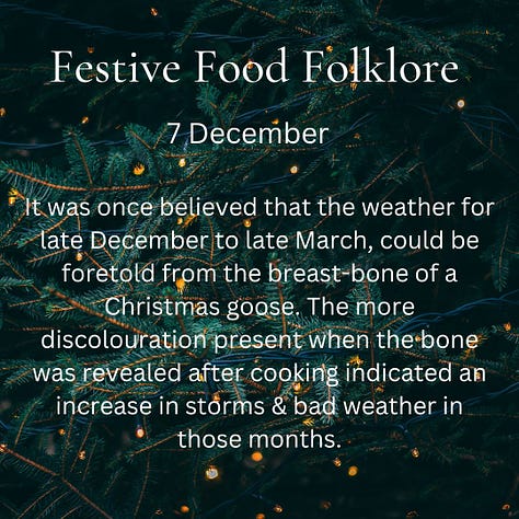 December 7 It was once believed that the weather for late December to late March, could be foretold from the breast-bone of a Christmas goose. The more discolouration present when the bone was revealed after cooking indicated an increase in storms & bad weather in those months.  December 8 It used to be considered unlucky to cut either the Christmas cheese or Christmas cake before Christmas Eve. They must both then last through the 12 days of Christmas but be eaten by 12th Night. I’m struggling to not eat all the lebkuchen by next weekend so they must have had a will of steel or a particularly large cheese and cake.  December 9 Today is about festive family food folklore. I’ll share mine if you share yours? My Nan made the best Pear & Ginger trifle every Xmas & I think she invented it but Mum says Nan saw it in the paper so even our ‘family’ trifle has a disputed origin. It's wonderful & easy but you must remember the chocolate flake for the top, even if that results in you begging through the letter-box of your corner shop late on Christmas Eve.  December 10 In Yorkshire & other Northern counties women made special cheeses for the festive season & ceremonially crossed the cheeses before they could be tasted on Xmas Eve to keep the devil away. This was usually accompanied by accompanied by a steaming wassail bowl full of spiced ale brimming with lamb’s-wool (fluffy baked inside of apple).   December 11 It was once normal at New Year to prepare a warm posset made of milk, ale, eggs, currants & spice into which the hostess put her wedding ring. All at the party took a ladle of posset & tried to fish out the ring to ensure a marriage in the new year.   December 12 The people of the Nordic countries eat a special version of their rice porridge at Christmas. They put a solitary almond in the bowl on Christmas Eve. In Iceland, Denmark, The Faroe Islands and Norway you get a present from the Yule Lads if you receive the almond in your portion and in Finland and Sweden, receiving the almond in your means you will have luck through the year.  December 13 On this day I feel I must present saffron buns which are baked for St Lucia Day in several Scandinavian countries. These buns - (Lussekatter) are supposed to resemble cat’s tails wrapped around each other. St Lucia is celebrated as a symbol of light in the dark of the year.  December 14 Wassailing takes place around Christmas time in the apple producing counties: for a good harvest, cake soaked in cider is put at the foot of a tree & cider is poured round. Toasts are made to the tree & shotguns fired. This is intended to drive away evil spirits & wake the spirit of the tree into life for a new year.  December 15 The Ceremony of the Christmas Cheeses is celebrated by Chelsea Pensioners annually by cutting a large cheese in honour of a cheesemaker who supplied cheese to feed the war veterans over the 1692 festive period.  Cheese has been donated every year since by cheese companies all over the UK.